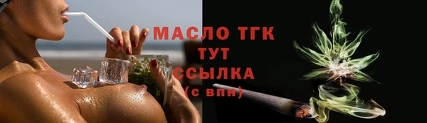 индика Пересвет