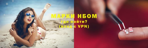 эйфоретик Алзамай