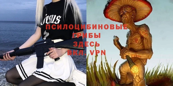 ECSTASY Алексин