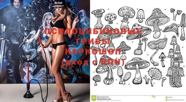 эйфоретик Алзамай